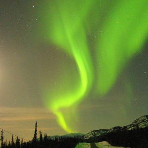 AVENTURA BOREAL Y CARIBOU CROSSING