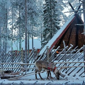 EXPLORANDO LAPONIA: DE LA ALDEA DE SANTA CLAUS A LA AURORA