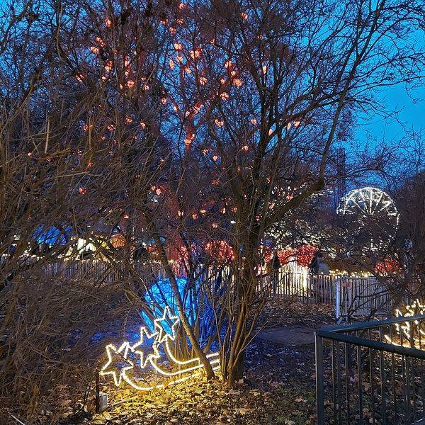MERCADILLOS NAVIDEÑOS EN VIENA